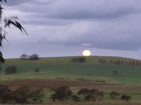 Clare Valley Cabins - Accommodation Rockhampton 41