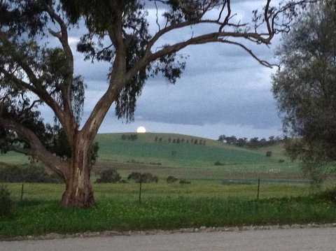 Clare Valley Cabins - Accommodation Rockhampton 10