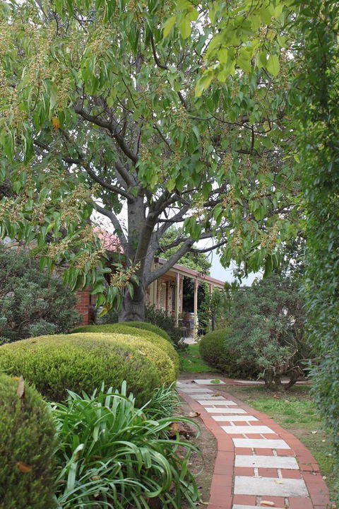 Langmeil Cottages - Accommodation Rockhampton 2