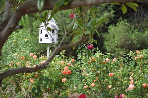 The Lyndoch Motel - Accommodation Rockhampton 2