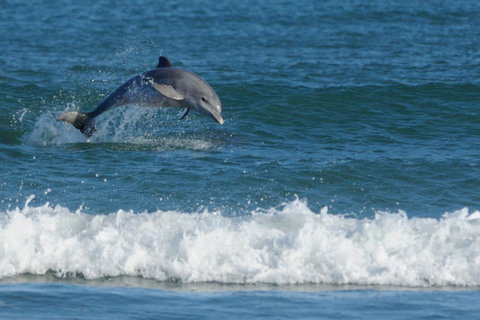 SummerHills Retreat Byron Bay - Accommodation Rockhampton 25