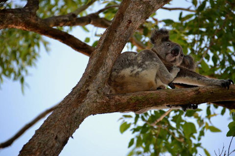 SummerHills Retreat Byron Bay - Accommodation Rockhampton 36