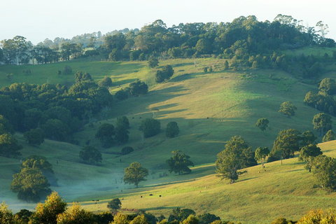 SummerHills Retreat Byron Bay - Accommodation Rockhampton 20