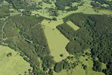 SummerHills Retreat Byron Bay - Accommodation Rockhampton 19