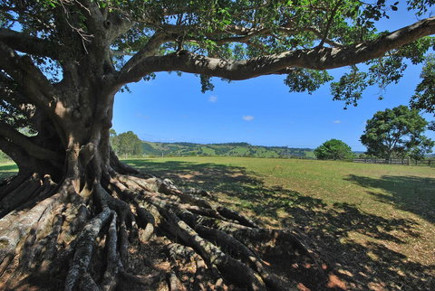 SummerHills Retreat Byron Bay - Accommodation Rockhampton 8