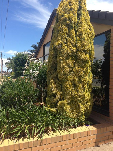 Aviators Lodge - Accommodation Rockhampton 9