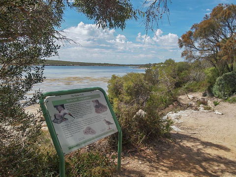 Willygunyah - Accommodation Rockhampton 31