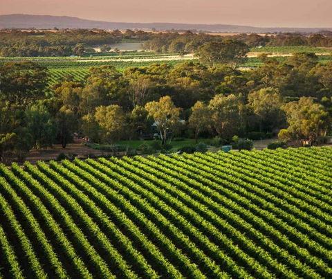 The Reserve Barossa Valley - Accommodation Rockhampton 1