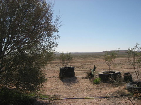 Venushill B+B - Accommodation Rockhampton 32