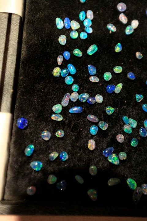 Venushill B+B - Accommodation Rockhampton 6