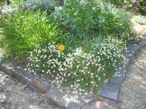 Archery Road Estate - Accommodation Rockhampton 15