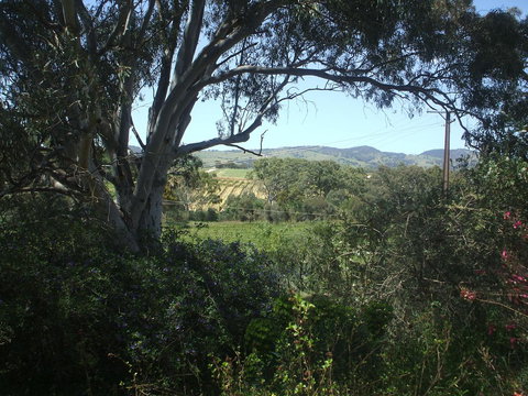 Archery Road Estate - Accommodation Rockhampton 0