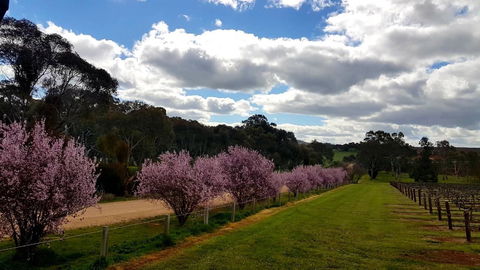 D2 At Watervale - Accommodation Rockhampton 22