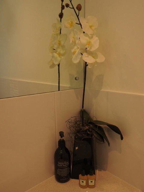 Sanctuary In The Valley - Accommodation Rockhampton 21