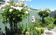Sanctuary In The Valley - thumb 13