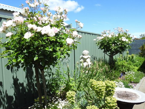 Sanctuary In The Valley - Accommodation Rockhampton 13