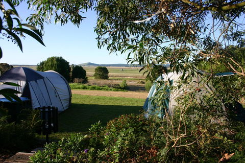 Millicent Hillview Caravan Park - Accommodation Rockhampton 43