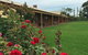 Coonawarra Place Motor Inn - thumb 26