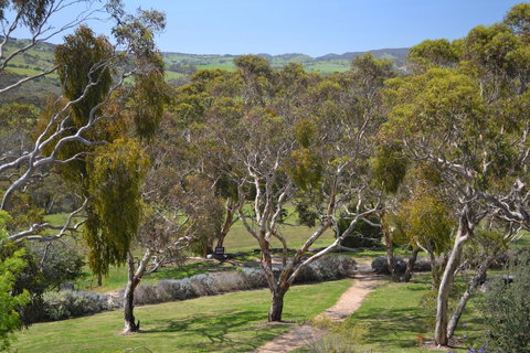 Shiraz Cottage - Accommodation Rockhampton 9