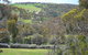 Shiraz Cottage - thumb 8