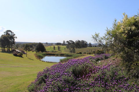Beltana Villas - Accommodation Rockhampton 7