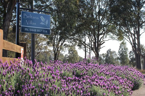 Beltana Villas - Accommodation Rockhampton 10