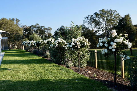 Beltana Villas - Accommodation Rockhampton 2