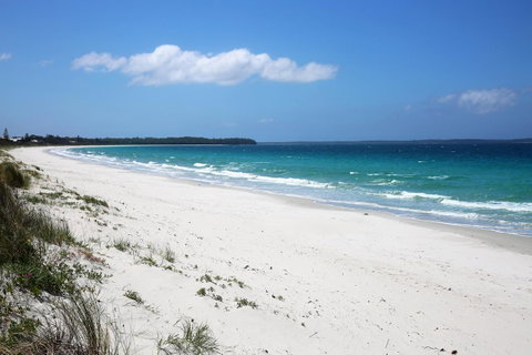 Wildwood I Pet Friendly I 5 Mins To Beach - Accommodation Rockhampton 14