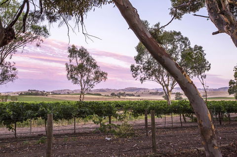 Jasmine\'s Barossa Valley Cottage - Accommodation Rockhampton 19