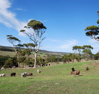 Lisieux Farm Bed and Breakfast - Accommodation Rockhampton