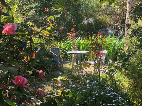 Treasured Memories Cottage - Accommodation Rockhampton 17