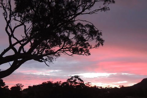 Wozza's B&B - Accommodation Rockhampton 3