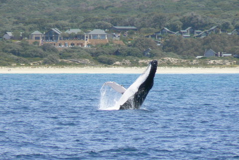 Pullman Bunker Bay Resort Margaret River - Accommodation Rockhampton 25