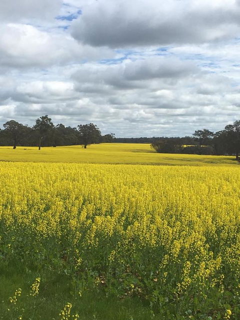 Blue House Denmark - Accommodation Rockhampton 5