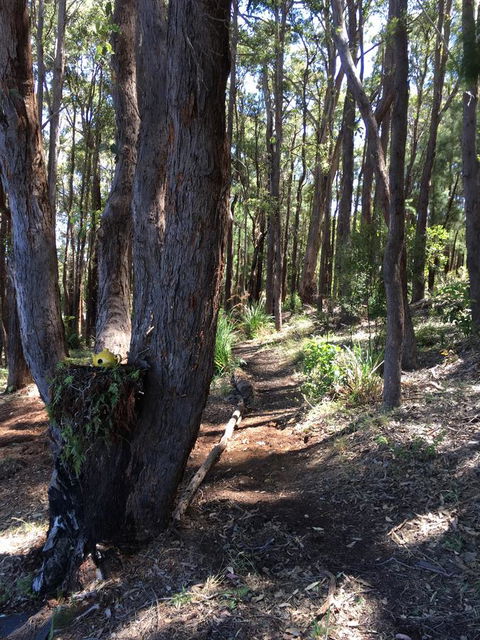 Blue House Denmark - Accommodation Rockhampton 6