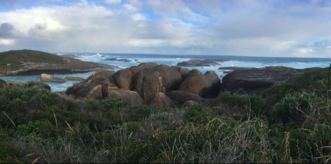 Blue House Denmark - Accommodation Rockhampton 4