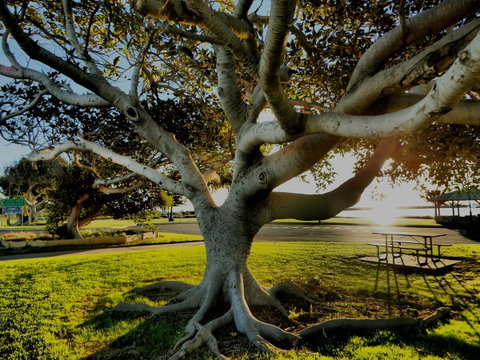 Lazy Lobster Holiday Units & Chalets - Accommodation Rockhampton 34