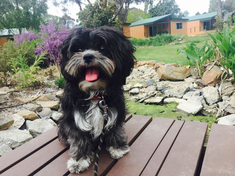 Armidale Tourist Park - Accommodation Rockhampton 32