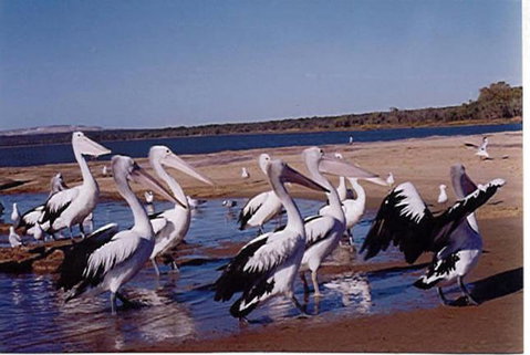 Unit 42 Kalbarri Beach Resort - Accommodation Rockhampton 17