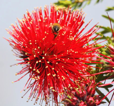 Riverview Tourist Park - Accommodation Rockhampton 36