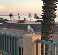 Shark Bay Seafront Apartments - Accommodation Rockhampton