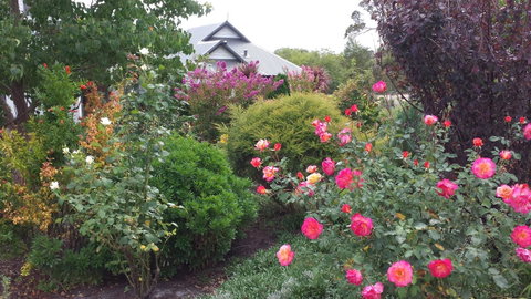 Glenelg On King Bed & Breakfast - Accommodation Rockhampton 15