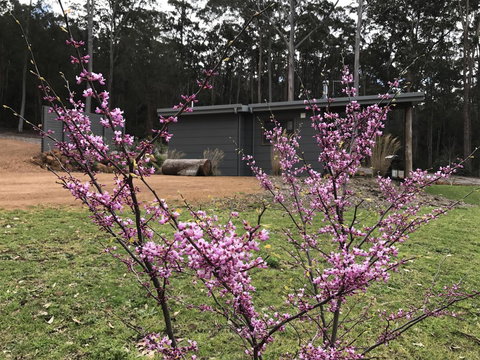 The Floating Forest - Accommodation Rockhampton 15