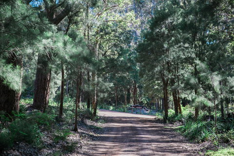 The Floating Forest - Accommodation Rockhampton 30
