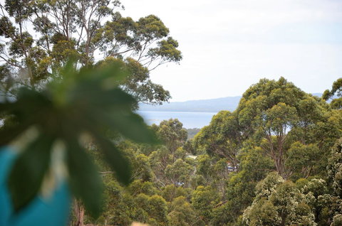 The Floating Forest - Accommodation Rockhampton 8