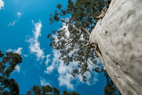 The Floating Forest - Accommodation Rockhampton 36