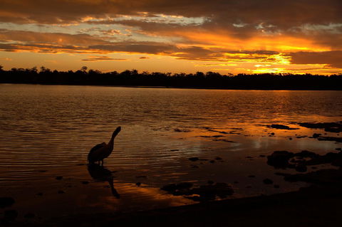 Dungowan Holiday Accommodation - Accommodation Rockhampton 31