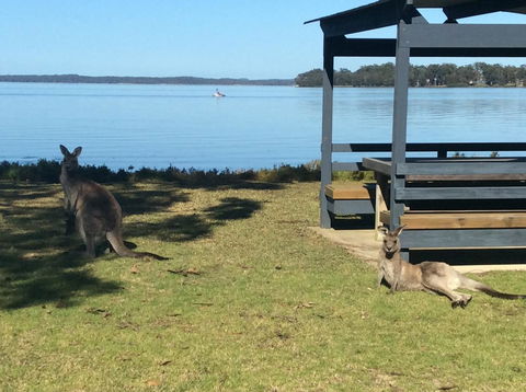 Dungowan Holiday Accommodation - Accommodation Rockhampton 33