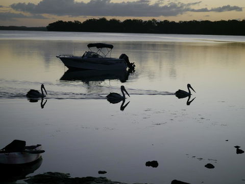 Dungowan Holiday Accommodation - Accommodation Rockhampton 41