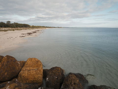 FortyOne - Oceanside Retreat Busselton - Accommodation Rockhampton 1